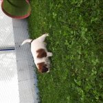05Woche